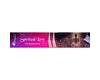 Vedic Spiritual Love Incense